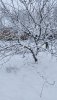 IMG-20250315-WA0015.jpg