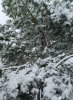 IMG-20250315-WA0018.jpg