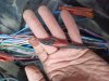 IMG20250510192922.jpg