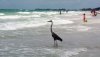 20180604_134551.jpg