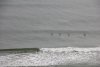 20140611 Daytona Beach_3495.JPG