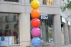 IMG_6100 (Copy).JPG