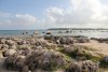 Riviera Maya_2016_08_09_0982.JPG