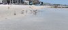 IMG_20260608_141625.jpg
