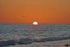 IMG_3555.JPG